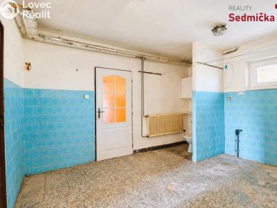 Sale family house Únanov č. 36