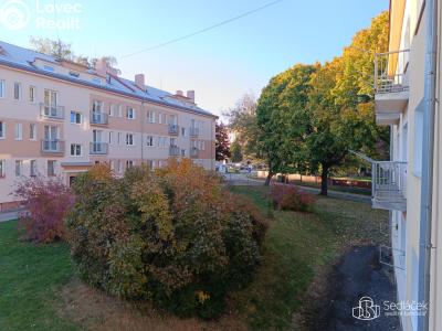 Prodej bytu 2+1 Horní Slavkov, Dlouhá č. 14