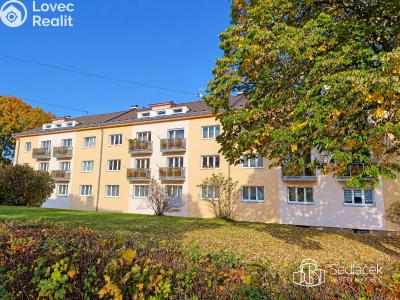 Sale apartment 2+1 Horní Slavkov, Dlouhá č. 1
