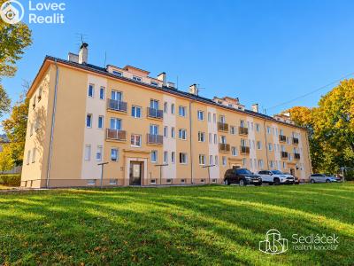 Sale apartment 2+1 Horní Slavkov, Dlouhá č. 2