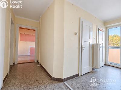 Sale apartment 2+1 Horní Slavkov, Dlouhá č. 9