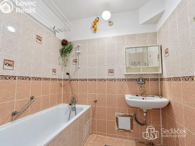 Sale apartment 2+1 Horní Slavkov, Dlouhá č. 10