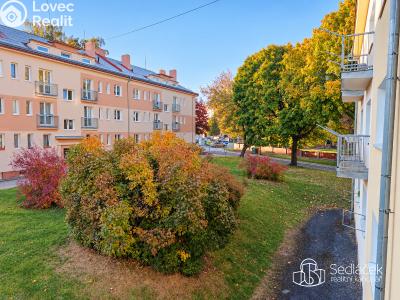 Sale apartment 2+1 Horní Slavkov, Dlouhá č. 14
