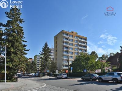 Продажа квартиры 2+1 Sázava, Sklářská 306 č. 1