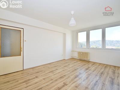 Продажа квартиры 2+1 Sázava, Sklářská 306 č. 3