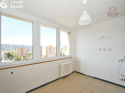 Продажа квартиры 2+1 Sázava, Sklářská 306 č. 4