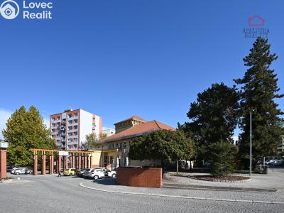 Продажа квартиры 2+1 Sázava, Sklářská 306 č. 15