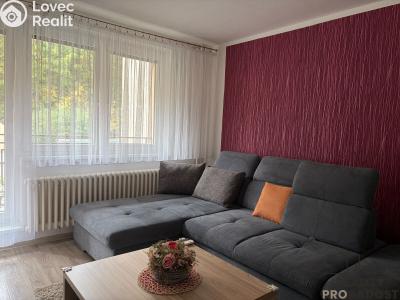 Pronájem bytu 2+1 Moravský Krumlov, Tiskárenská č. 1