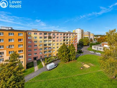 Prodej bytu 2+1 Chodov, Vítězná č. 20