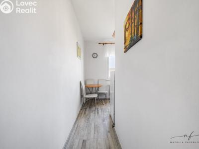 Sale apartment 2+1 Chodov, Vítězná č. 6