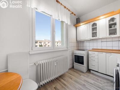 Sale apartment 2+1 Chodov, Vítězná č. 13