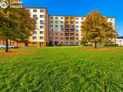 Sale apartment 2+1 Chodov, Vítězná č. 18