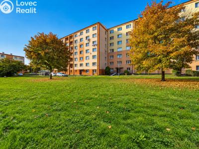 Sale apartment 2+1 Chodov, Vítězná č. 19