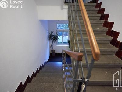 Pronájem bytu 3+KK Brno, Poděbradova č. 19