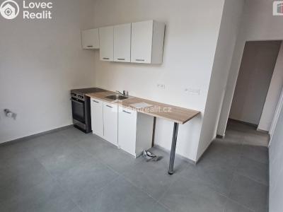 Pronájem bytu 2+1 Ústí nad Labem, Na Pile č. 1