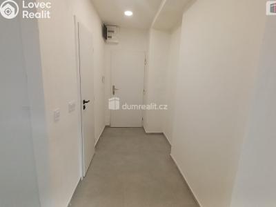 Pronájem bytu 2+1 Ústí nad Labem, Na Pile č. 13