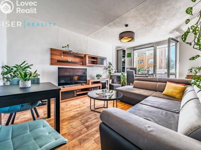 Rent apartment 2+1 Ledeč nad Sázavou, Stínadla č. 1