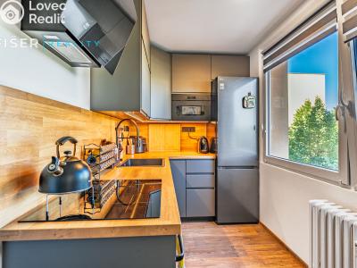 Rent apartment 2+1 Ledeč nad Sázavou, Stínadla č. 2