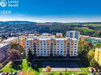 Rent apartment 2+1 Ledeč nad Sázavou, Stínadla č. 3
