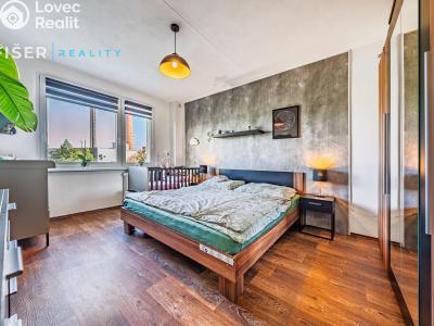 Rent apartment 2+1 Ledeč nad Sázavou, Stínadla č. 4