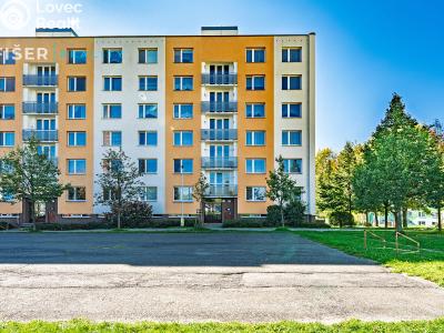 Rent apartment 2+1 Ledeč nad Sázavou, Stínadla č. 11
