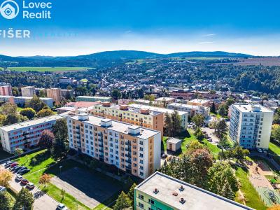Rent apartment 2+1 Ledeč nad Sázavou, Stínadla č. 15