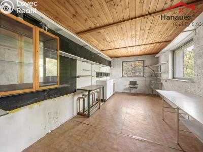 Prodej rodinného domu Nový Bor, Lesní čtvrť 209 č. 17