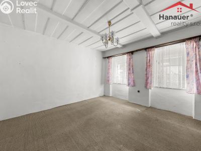Prodej rodinného domu Nový Bor, Lesní čtvrť 209 č. 32