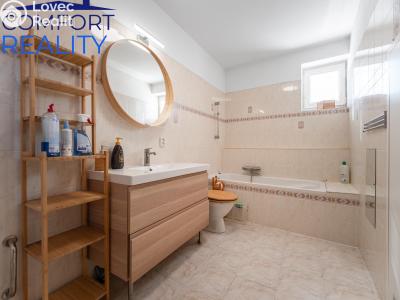 Продаж багатогенного будинку Štěpánkovice, Hlavní č. 9