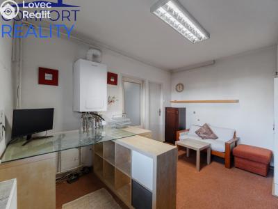 Продаж багатогенного будинку Štěpánkovice, Hlavní č. 20