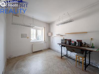 Продаж багатогенного будинку Štěpánkovice, Hlavní č. 21