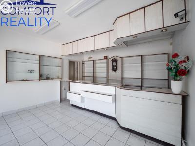 Продаж багатогенного будинку Štěpánkovice, Hlavní č. 22