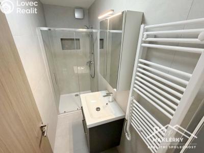 Rent apartment 1+1 Čáslav, 28. října č. 6