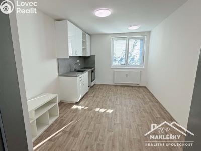 Rent apartment 1+1 Čáslav, 28. října č. 1
