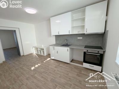 Rent apartment 1+1 Čáslav, 28. října č. 3