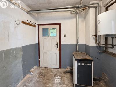 Продаж сімейного будинку Vísky č. 22