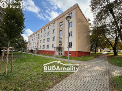 Pronájem bytu 2+1 Zlín, M. Knesla 4015 č. 3