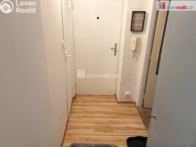 Rent apartment 1+1 Mikulov, Zd. Nejedlého č. 7
