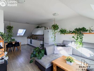 Rent apartment 3+KK Blažovice, Luční č. 3