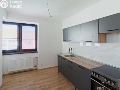 Rent apartment 1+KK Blučina, Zahradní č. 6