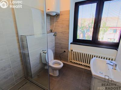 Rent apartment 1+KK Blučina, Zahradní č. 8
