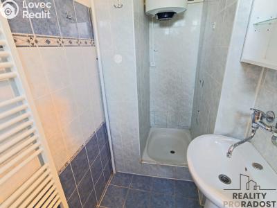 Rent apartment 1+1 Blučina, Zahradní č. 3
