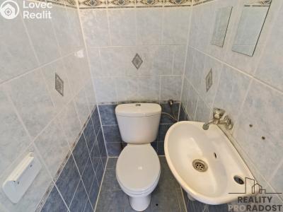 Rent apartment 1+1 Blučina, Zahradní č. 7