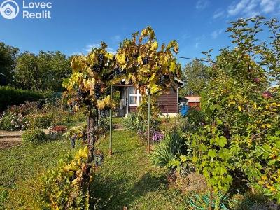 Sale hut Olomouc č. 20