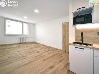 Rent apartment 2+KK Kolín, Želivského č. 1
