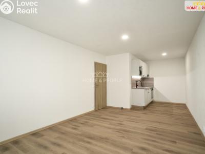 Rent apartment 2+KK Kolín, Želivského č. 3