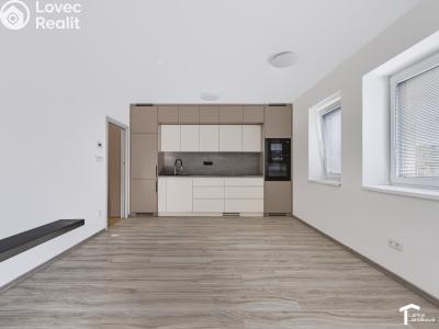 Rent apartment 1+KK Lázně Bohdaneč, Družstevní 520 č. 2