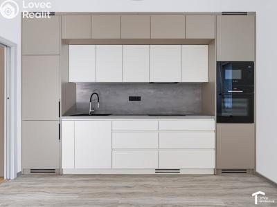 Rent apartment 1+KK Lázně Bohdaneč, Družstevní 520 č. 3