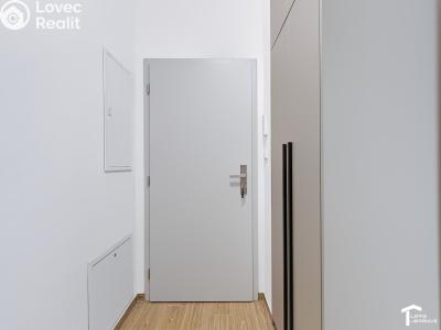 Rent apartment 1+KK Lázně Bohdaneč, Družstevní 520 č. 8