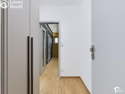 Rent apartment 1+KK Lázně Bohdaneč, Družstevní 520 č. 9